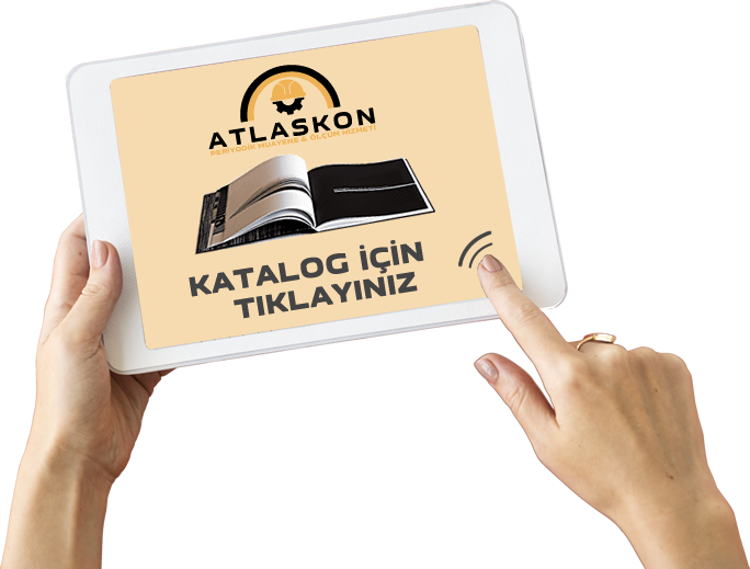 2024 Katalog